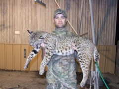1415 Season Bobcat